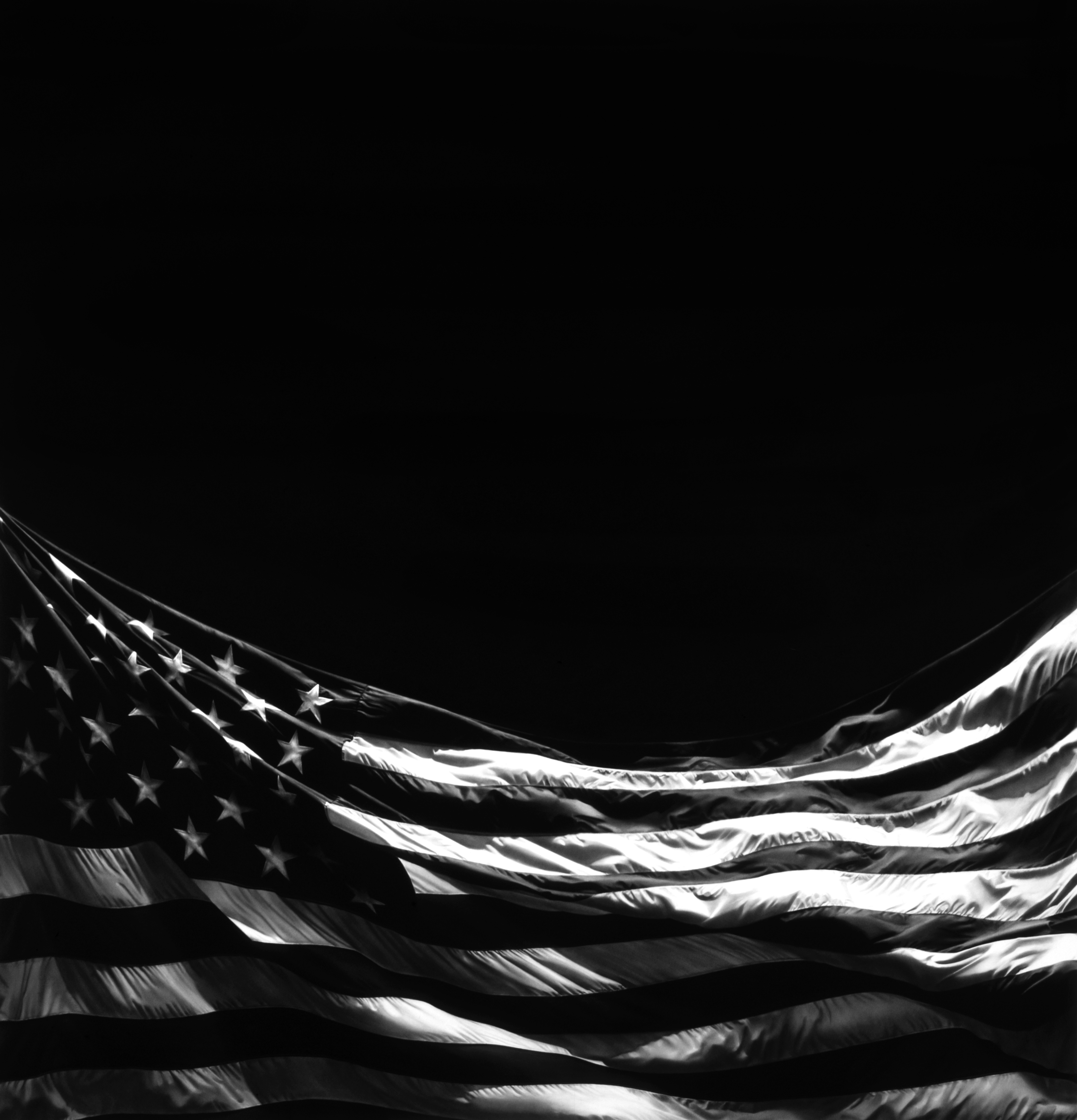 2024 Robert Longo